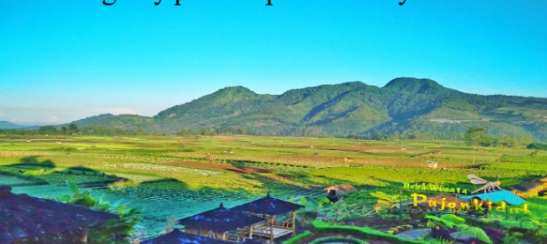 Wisata Budaya Di Malang Yang Wajib Kamu Kunjungi