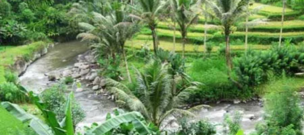 Harga Tiket Wisata Jika Berkunjung ke Sungai Ayung